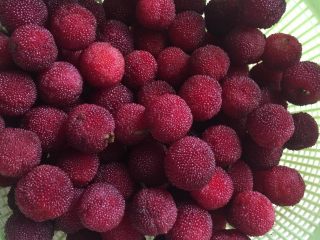 1、杨梅干,杨梅用淡盐水浸泡半小时以上，沥干水分。