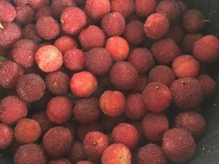 3、杨梅干,放入杨梅