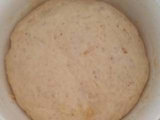 4、披萨,静置一边待其发酵至2倍大小，一般要2、3小时，也可借用微波炉发酵功能发酵1小时，本人喜欢自然发酵。