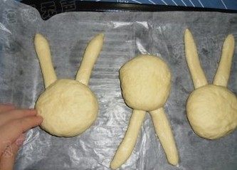 7、超萌兔子面包,把两只兔耳反过来摆在烤盘上，压上一个搓圆的大面包，接口处可用少量水做粘合，送入烤箱，下面放杯热水，进行第二次发酵