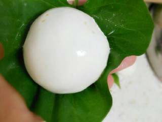 5、叶儿粑,将糯米团周边往里收拢，把馅料完整包在里面，再用双手搓成滚圆。再放在一片叶子上，为了防止叶儿粑粘黏，也为了包装叶散发出的清香味。当然用芭蕉叶和荷叶是最香的哈，不过只有乡下才有这些^_^