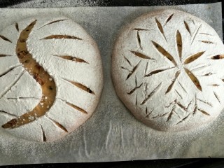 15、红酒果料面包,用锋利的割刀割上自己喜欢的图形