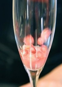 16、石榴气泡鸡尾酒,洒入提前留好的10余颗石榴粒