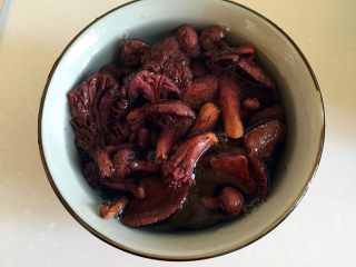 1、小鸡炖蘑菇,松伞蘑提前洗净浸泡5-6个小时。