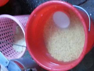 1、自制豆腐花,因图片比较多、只好拼图。其实夏天我娘家做豆腐花卖\的。泡发好黄豆备用。