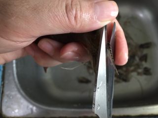 2、砂锅粥—鲜虾粥,用剪刀剪去2虾须，头上的刺。