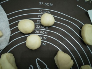 14、炼奶小馒头(烤箱版),将每个小剂子揉成圆型