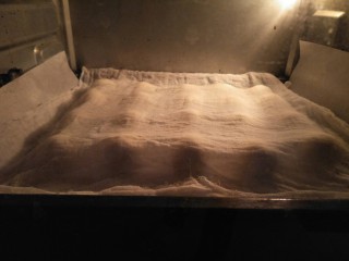 16、炼奶小馒头(烤箱版),盖布放入酵箱再开启发酵功能发酵三十分钟。