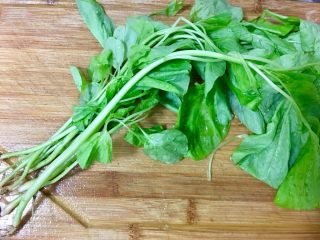 1、莧菜金針菇,莧菜洗淨