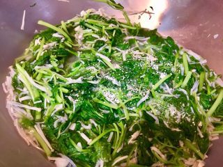 14、莧菜金針菇,加入調味料（鮮味炒手）拌煮