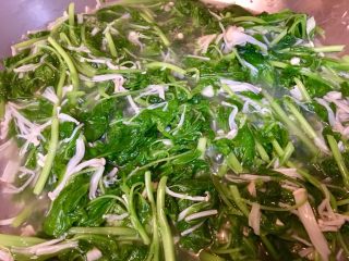 15、莧菜金針菇,接著將莧菜煮至梗軟化即可
