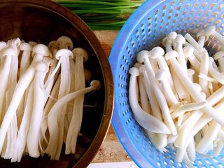 6、绿色美食+葱油芦笋白玉菇,左边是撕过的白玉菇，右边是比较细的