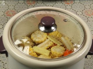 13、胡萝卜玉米排骨汤,盖上盖子，摁下“煲汤”键，电炖锅开始煲汤。