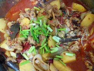 5、自制【火锅鸡】,煮熟后撒上葱花就可以吃了。