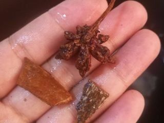 6、海带排骨汤,6.将生姜，八角，桂皮洗净放入锅中。