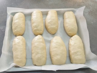 8、椰蓉奶油面包,放入垫有油纸的烤盘中，再次发酵两倍大，手轻压边缘，有一个印但是能慢慢回弹的状态就可以