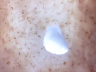 5、吉祥如意芝士料理餐包,运行一个揉面程序后，加入盐，肉匀后，加入黄油揉至扩展阶段（破洞不那么圆滑也没关系）