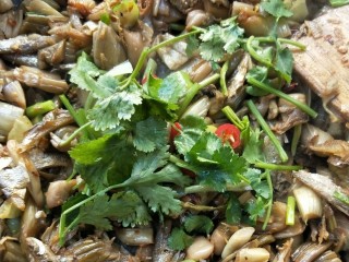 22、和和美美酸爽芋荷炒鱼干,撒香菜段。