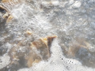 6、腊板鸭焖杏鲍菇萝卜,撇去油沫，捞出。