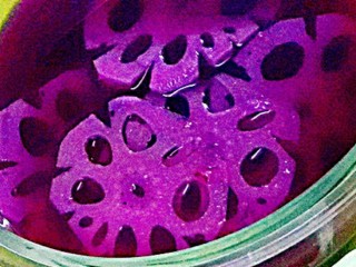 7、糖醋双色藕片,这样陆续切好就直接放紫甘蓝汁里盖上盖子冷藏浸泡了，这张是泡好的