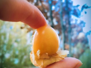 2、萌蜜小黄果的情调@@自制菇娘果酱,黄色的小果子，特别讨人喜欢。它很好保存，像苹果一样，不爱腐烂。