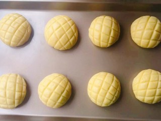 16、菠萝面包,把全部做的都放入烤盘中进行二发，发至1.5-2倍大，二发温度30-38度之间不得超40度，湿度75%-85%之间