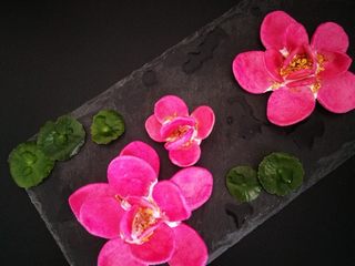 17、出水芙蓉饼干,成品图。