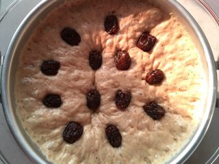 5、红枣发糕,发酵好，摆上阿胶小枣入蒸锅