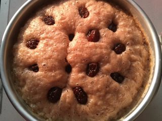 6、红枣发糕,蒸35分钟，再焖10分钟，确保熟透