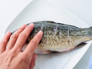 2、鲫鱼萝卜奶白汤,洒上精盐，用手搓匀入味。