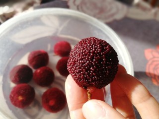 7、杨梅荔枝饮,淡盐水里捞出杨梅，清水冲洗一遍。