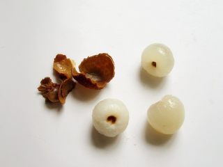 5、章鱼和宝宝出游记,荔枝剥壳后用刀在背部斜切一部分，这样可以容易固定不会滚动