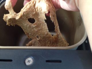 5、汤种全麦面包～柔软拉丝,再揉几分钟，检视面团，能拉出一片膜，破洞不光滑，这个状态就可以，因为有全麦面粉，很难揉到完全出膜。