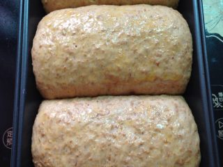 15、汤种全麦面包～柔软拉丝,取出模具，预热烤箱上下火180度。这时可以刷一层蛋液增加色泽。