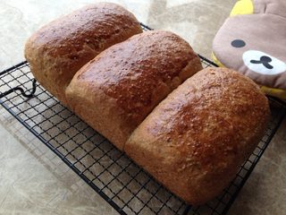 17、汤种全麦面包～柔软拉丝,倒出晾架。很软哦，要小心！