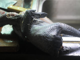 1、天麻木耳炖乌鸡,乌鸡处理，清洗干净