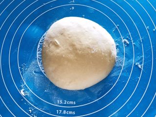 15、芝士榴莲饼,把面团取出来揉面排气