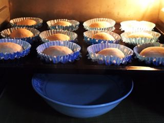 23、豆沙小餐包,烤箱二次发酵60分钟，方法同上。