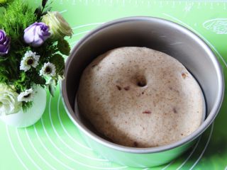 13、蔓越梅乡村面包,发酵完成拿出检查，用手指戳一下不反弹就证明发酵成功了。