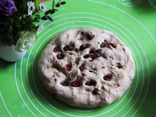 14、蔓越梅乡村面包,拿出排气。