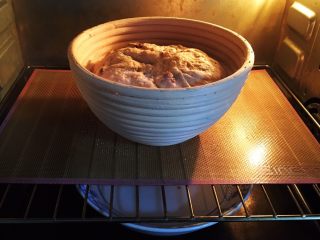 18、蔓越梅乡村面包,进入二次发酵，方法同上。