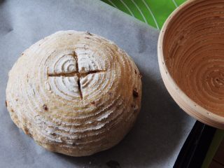 19、蔓越梅乡村面包,发酵完成后拿出倒扣在盘子里，用美工刀划十字。