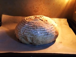 20、蔓越梅乡村面包,烤箱预热至180度，烤盘送入烤箱烤制。