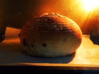 21、蔓越梅乡村面包,时间36分钟，这是20分钟的状态。