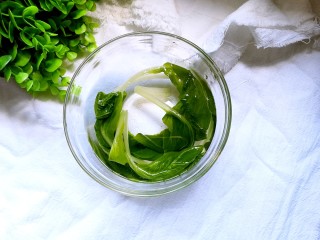 5、鱿鱼清粥,焯水好的小白菜放入凉水中，以防青菜变色