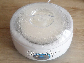 3、奥利奥酸奶盆景,把钢胆放入主机体中（若是环境温度较低时，可在主机体中加入盖住底部的、温度不高于43℃的少量水，有助于酸奶发酵）盖上内盖和透明上盖，插上电源，提示灯亮。约6-----12个小时酸奶就做好了（把钢胆慢慢倾斜，表面呈现浓稠状或凝结成豆花状就表示酸奶做好了）