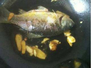 3、下奶的鲫鱼汤,放入鱼煎金黄色