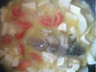 7、下奶的鲫鱼汤,放西红柿煮3分钟
