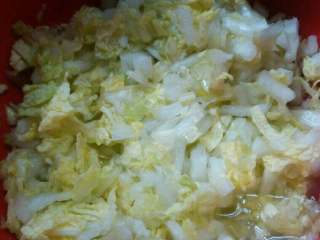 3、鲜肉白菜饺子,白菜洗净切碎，容器盛起，加一小勺子盐，抓几下就会出很多水，白菜沥干水分