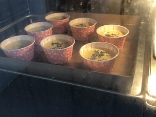 13、无水蜂蜜小蛋糕,放入提前预热好的烤箱，170度烤18分钟。注意观察上色情况，表面金黄即可出炉。每个人的烤箱不一样，时间与温度仅做参考